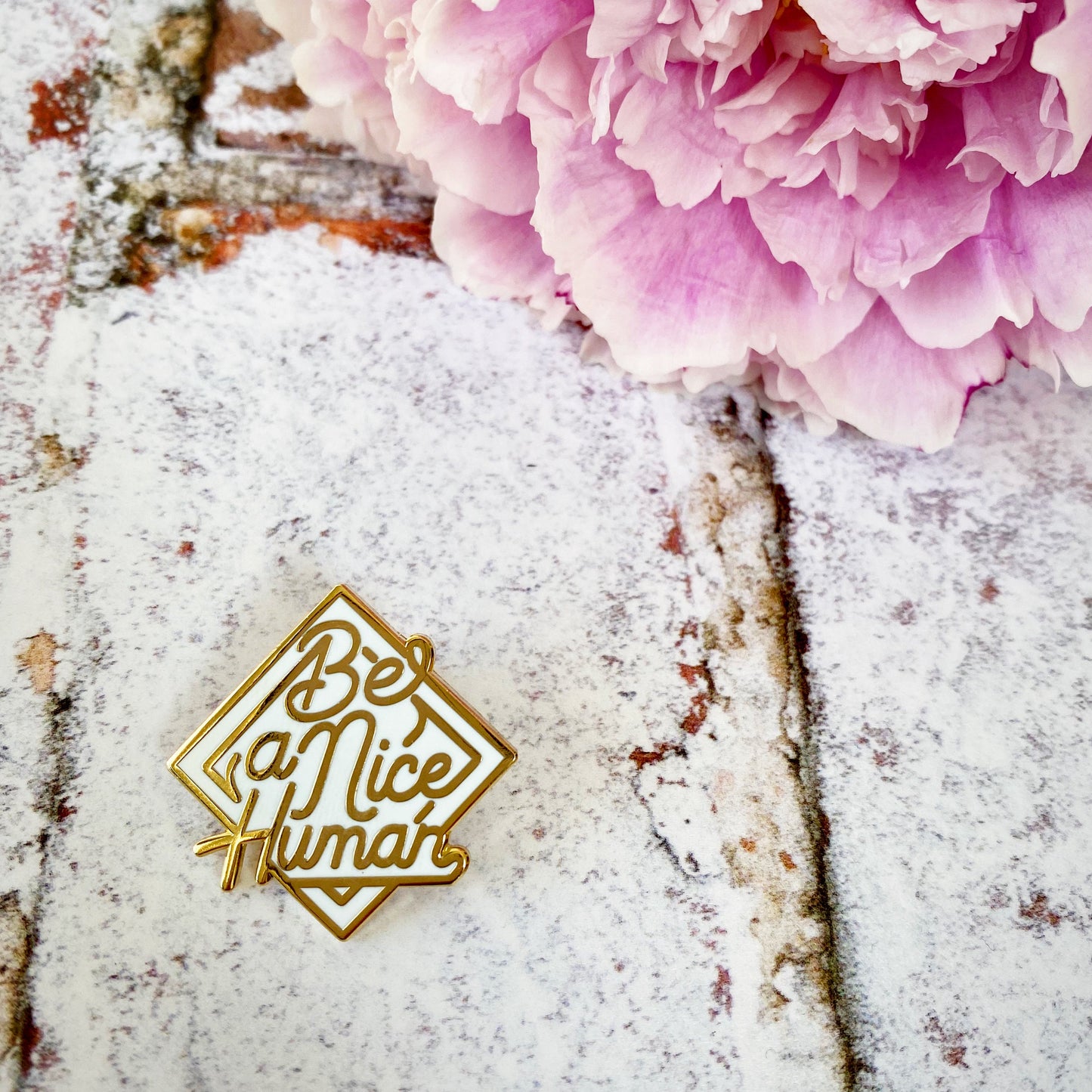 Be a nice Human pin badge